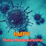 HMPV
