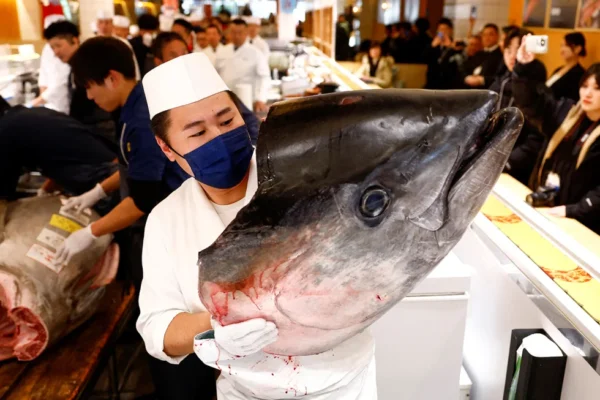 Motorcycle-sized tuna fetches more than $1 million at Japan auction new-year-japan-tuna-auction