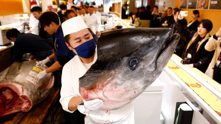 Motorcycle-sized tuna fetches more than $1 million at Japan auction